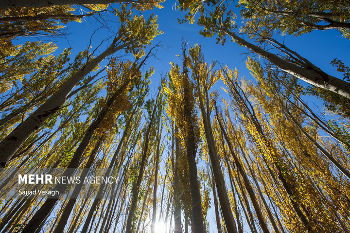 خزان هزار رنگ همدان