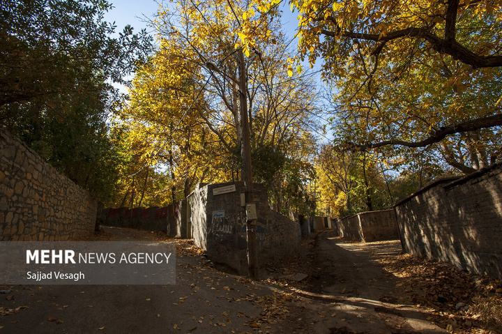 خزان هزار رنگ همدان