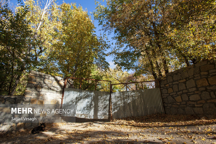 خزان هزار رنگ همدان