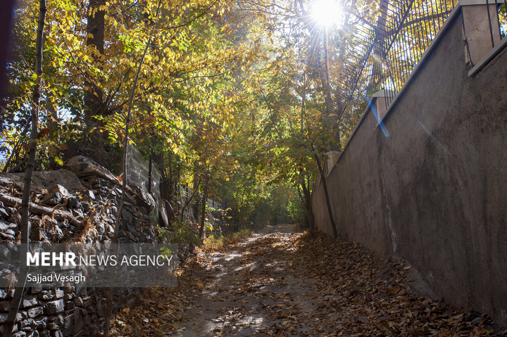 خزان هزار رنگ همدان