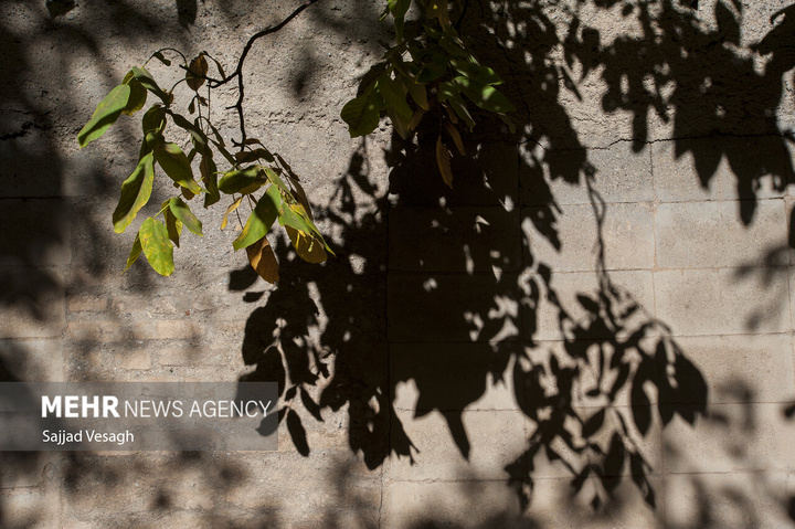 خزان هزار رنگ همدان