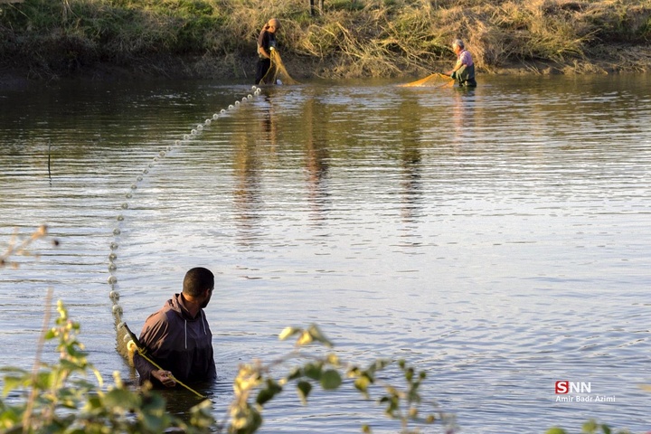 آب بندان‌های پرورش ماهی در آزادشهر