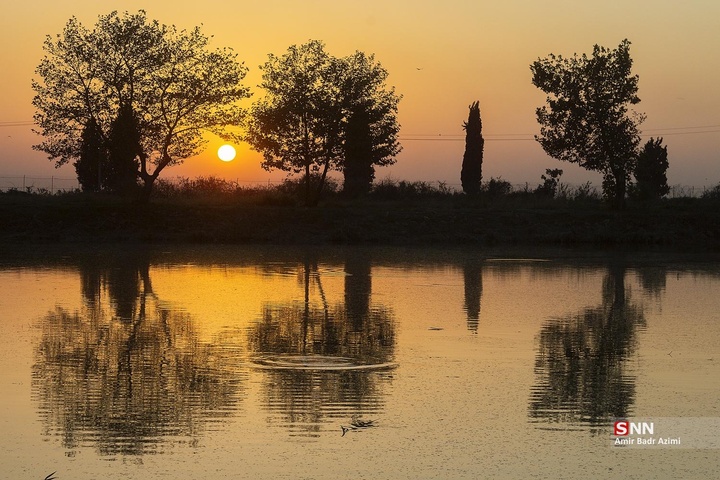 آب بندان‌های پرورش ماهی در آزادشهر
