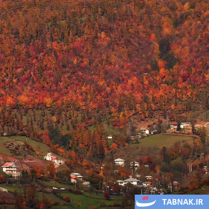 طبیعت پاییزی گیلان