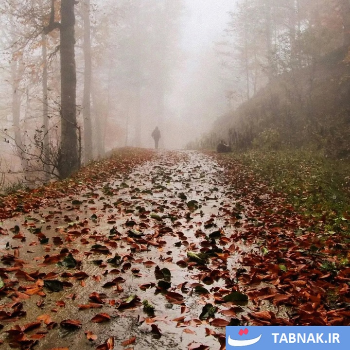 طبیعت پاییزی گیلان