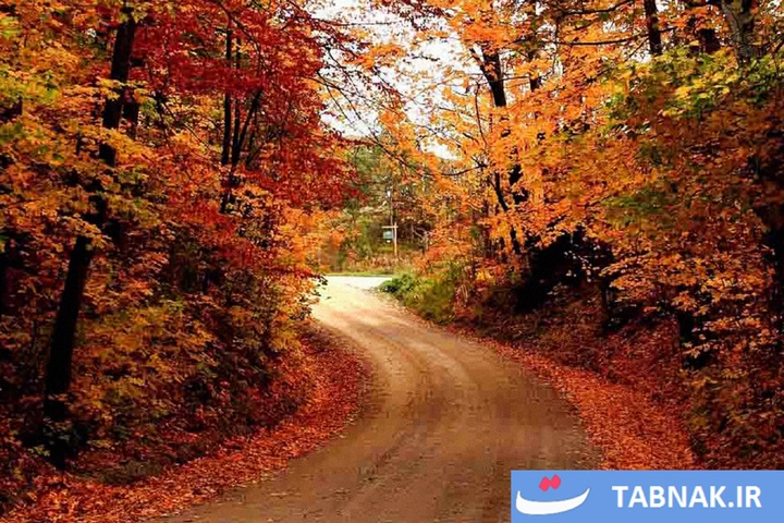 طبیعت پاییزی گیلان