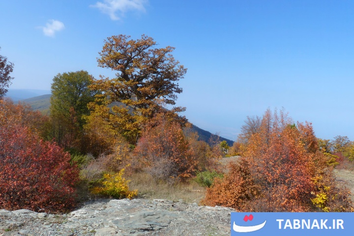 طبیعت پاییزی گیلان