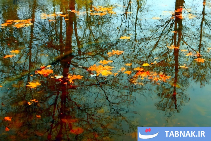 طبیعت پاییزی گیلان