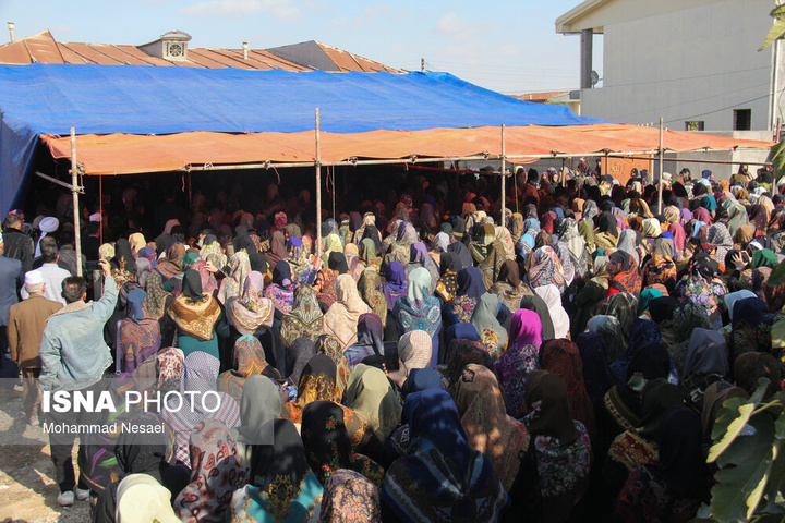 مراسم تشییع پیکر صابر کاظمی - گلستان