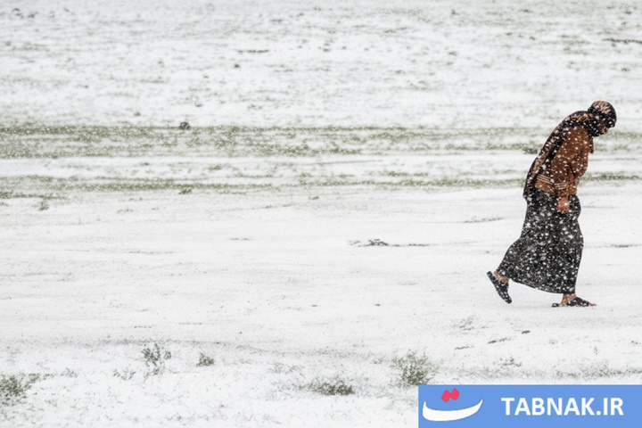 از قله تا دشت؛ کوچ هزار رنگ پاییزه