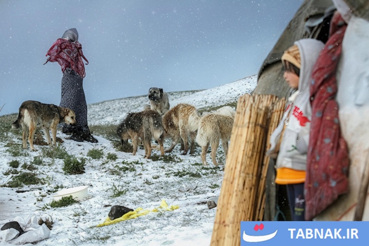 از قله تا دشت؛ کوچ هزار رنگ پاییزه