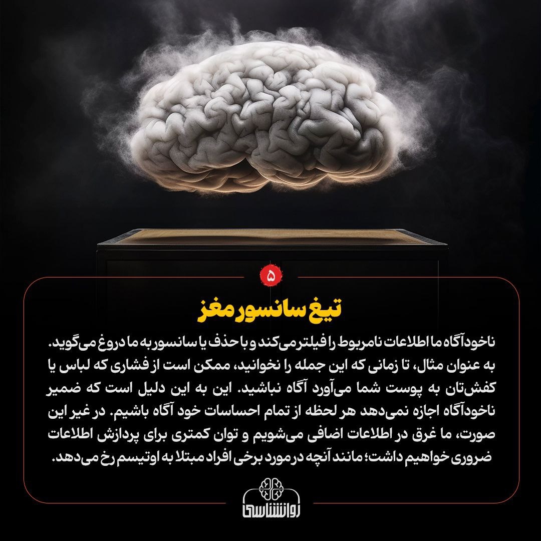 مغز دروغگو!