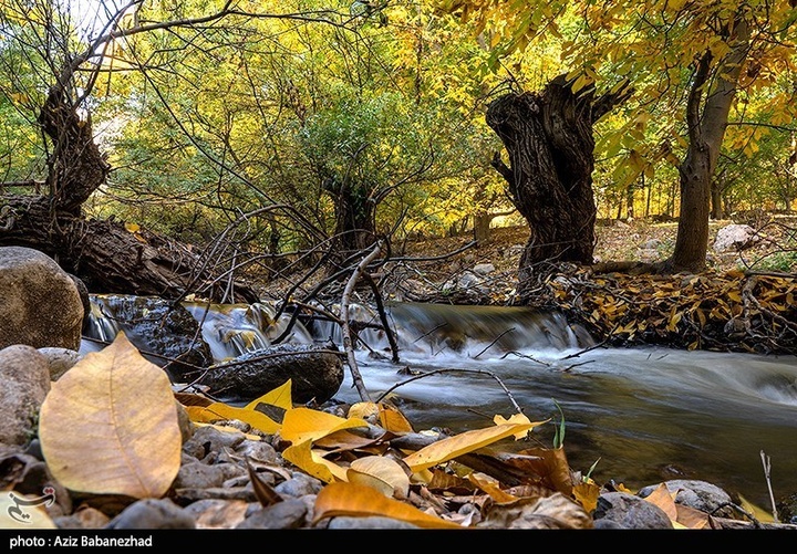 طبیعت پاییزی باغهای گردو کهمان شهرستان سلسله