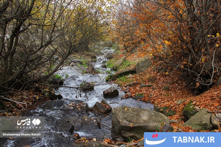 سمفونی رنگ‌ها در قلب کوهستان چالوس