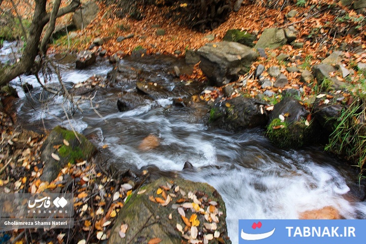 سمفونی رنگ‌ها در قلب کوهستان چالوس
