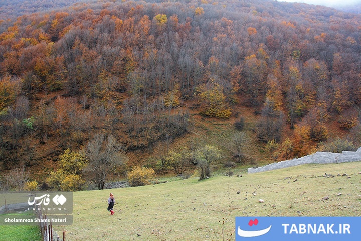 سمفونی رنگ‌ها در قلب کوهستان چالوس