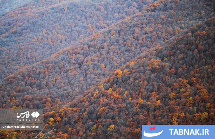سمفونی رنگ‌ها در قلب کوهستان چالوس