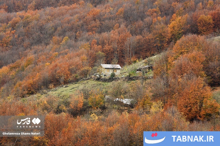 سمفونی رنگ‌ها در قلب کوهستان چالوس
