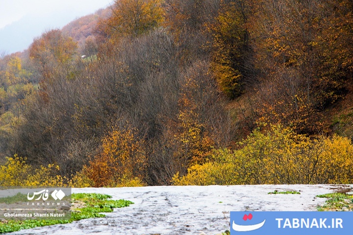 سمفونی رنگ‌ها در قلب کوهستان چالوس