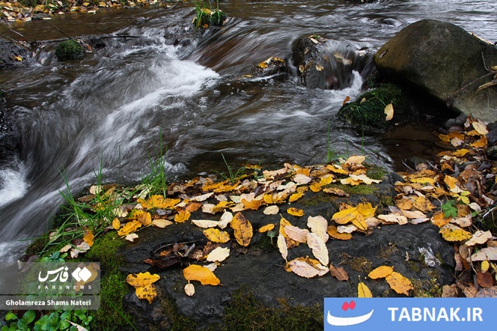 سمفونی رنگ‌ها در قلب کوهستان چالوس