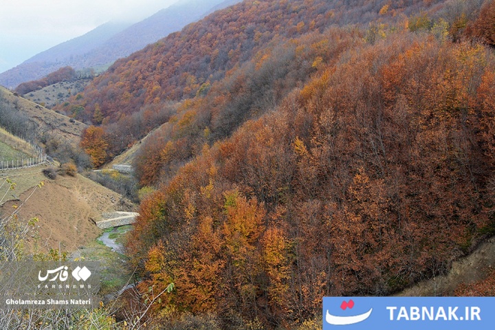 سمفونی رنگ‌ها در قلب کوهستان چالوس