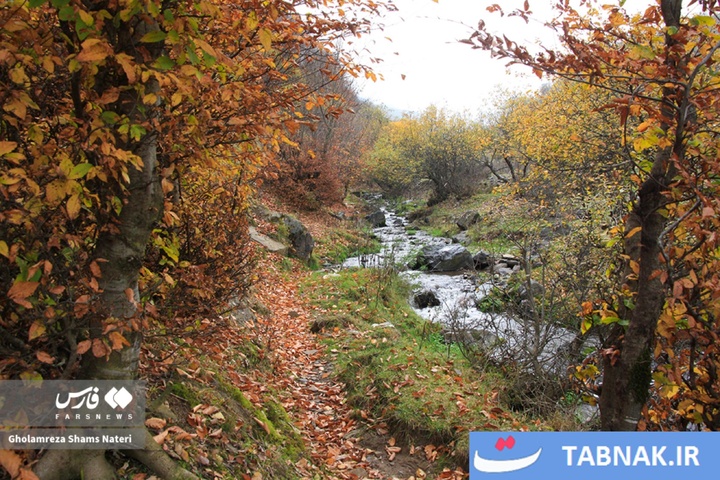 سمفونی رنگ‌ها در قلب کوهستان چالوس