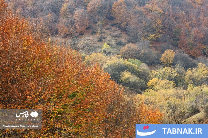 سمفونی رنگ‌ها در قلب کوهستان چالوس