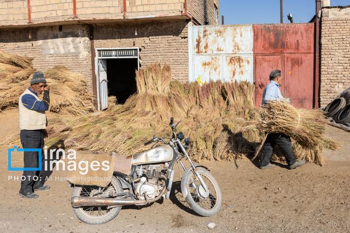 جاروی سنتی قَرامَلِک