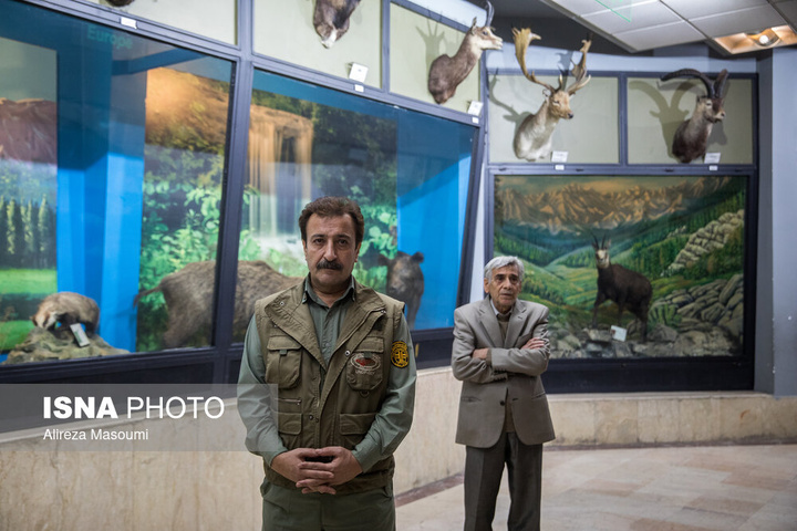 افتتاح بزرگ‌ترین نیروگاه خورشیدی دستگاه‌های اجرایی کشور