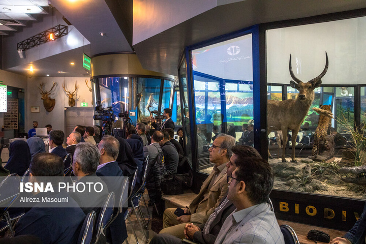 افتتاح بزرگ‌ترین نیروگاه خورشیدی دستگاه‌های اجرایی کشور