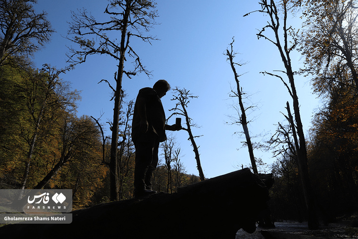 پاییز «مُرداب دِریوک»کلاردشت