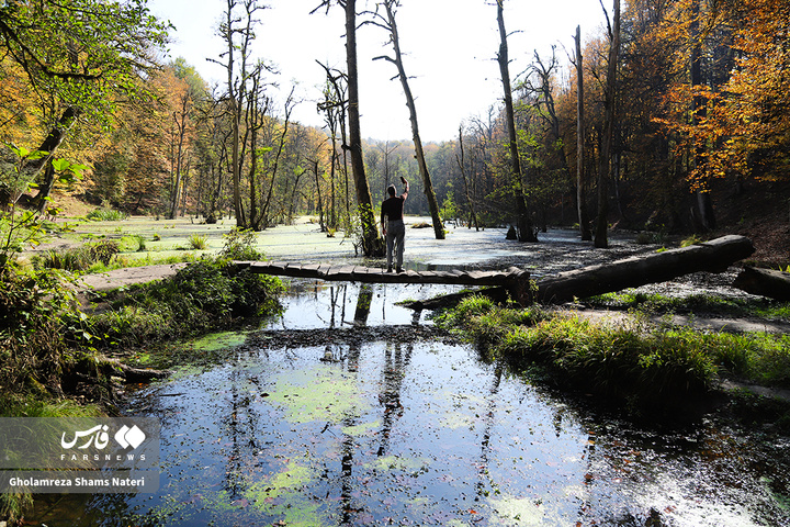 پاییز «مُرداب دِریوک»کلاردشت