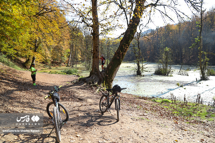 پاییز «مُرداب دِریوک»کلاردشت