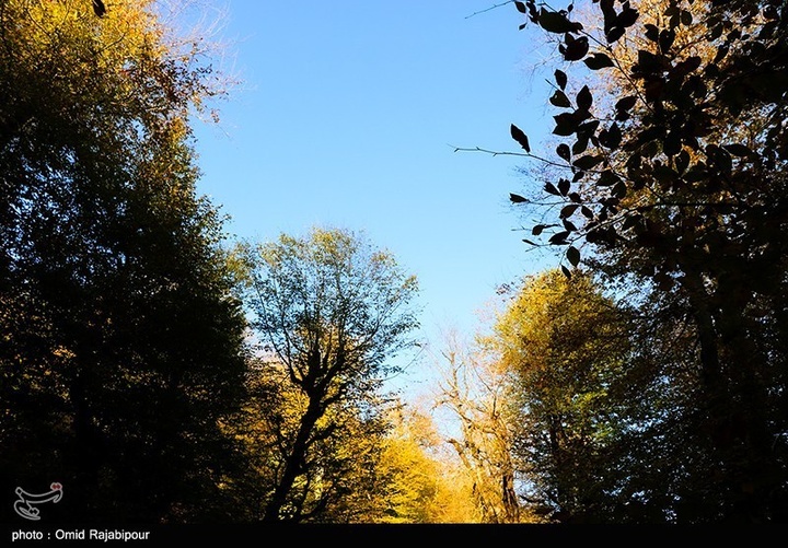 طبیعت پاییزی -گیلان