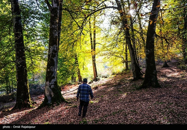 طبیعت پاییزی -گیلان