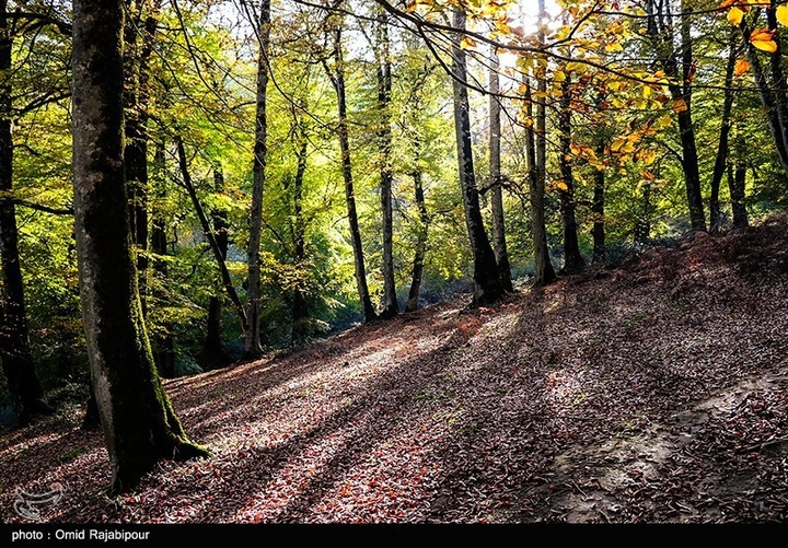 طبیعت پاییزی -گیلان