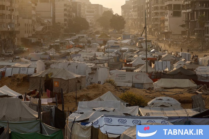 غزه، هنوز زنده است