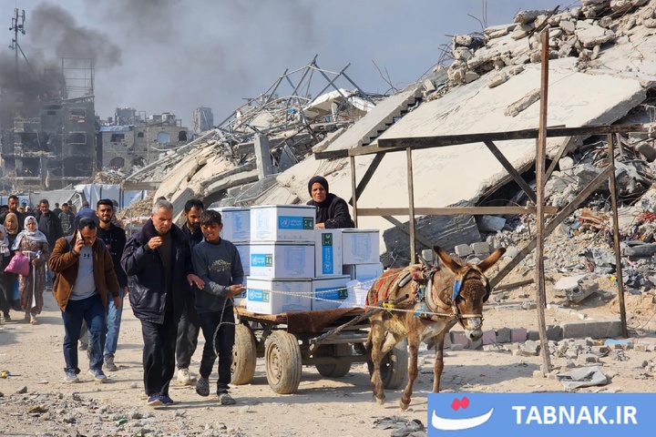 غزه، هنوز زنده است