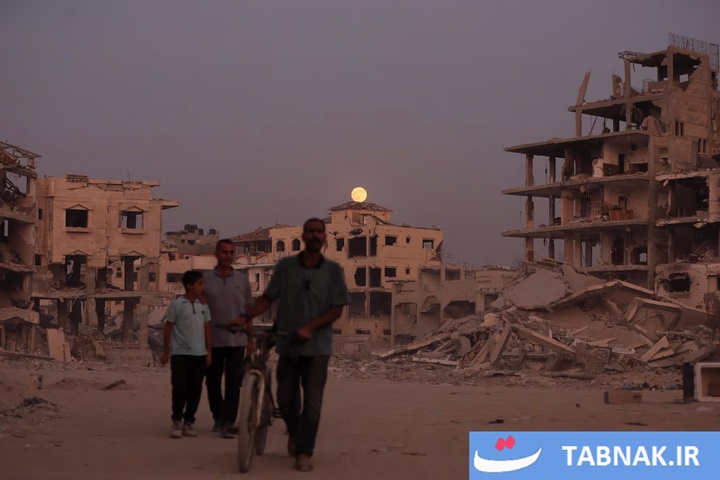 غزه، هنوز زنده است