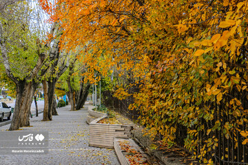 اردبیل زیر چتر رنگ‌ها