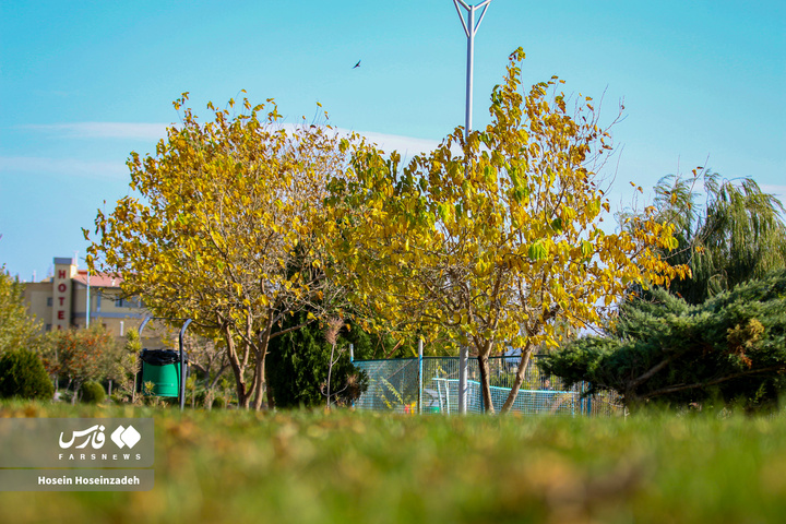 اردبیل زیر چتر رنگ‌ها