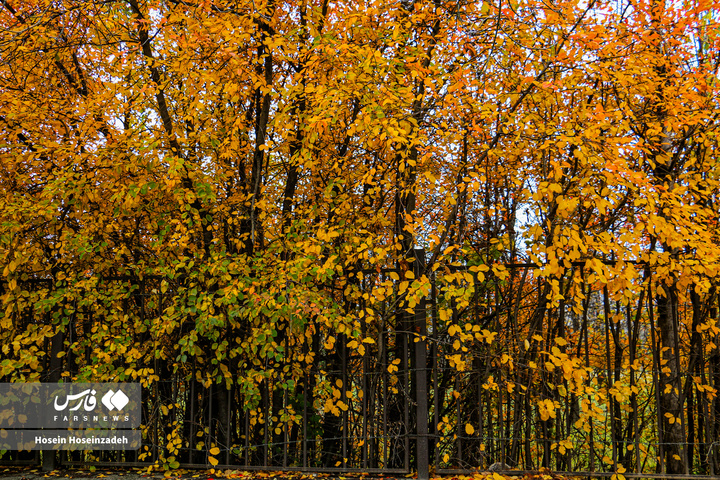 اردبیل زیر چتر رنگ‌ها