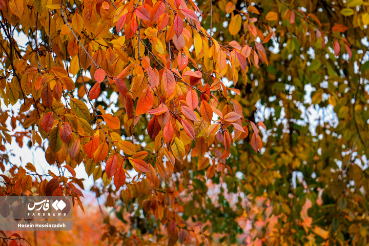 اردبیل زیر چتر رنگ‌ها