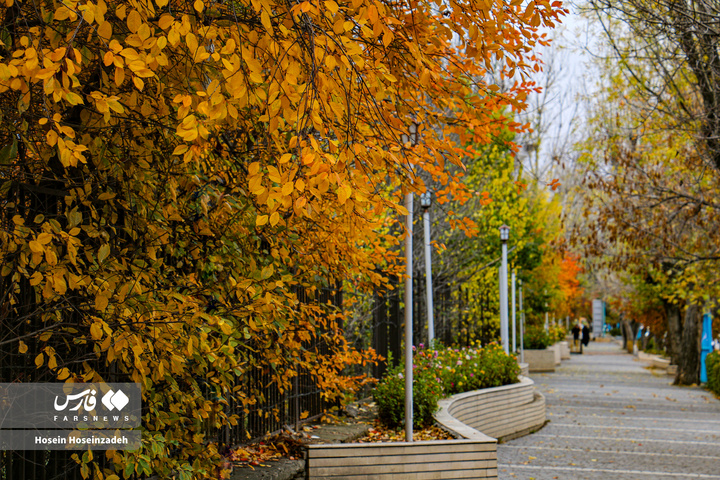 اردبیل زیر چتر رنگ‌ها