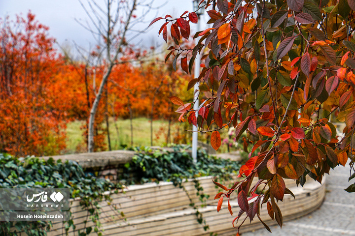 اردبیل زیر چتر رنگ‌ها