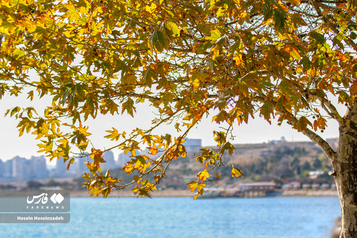 اردبیل زیر چتر رنگ‌ها