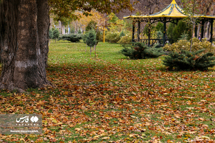 اردبیل زیر چتر رنگ‌ها