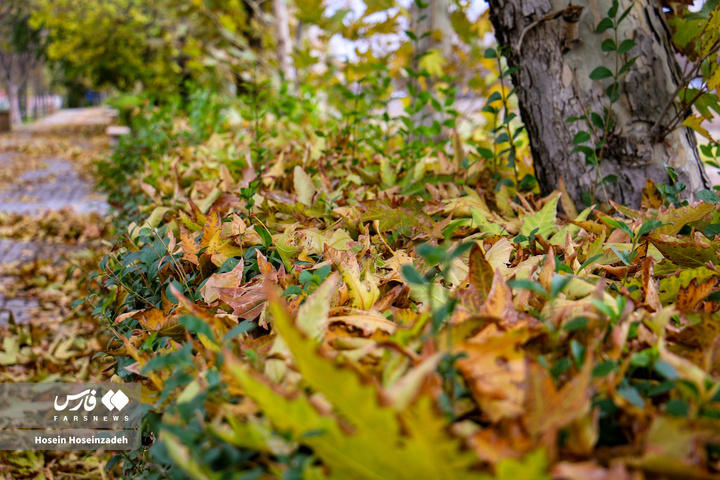 اردبیل زیر چتر رنگ‌ها