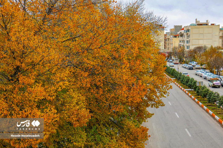 اردبیل زیر چتر رنگ‌ها