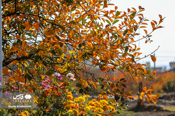 اردبیل زیر چتر رنگ‌ها